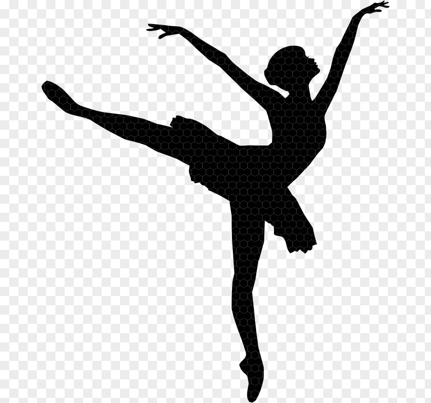 Ballet Dancer Vector Graphics Image PNG