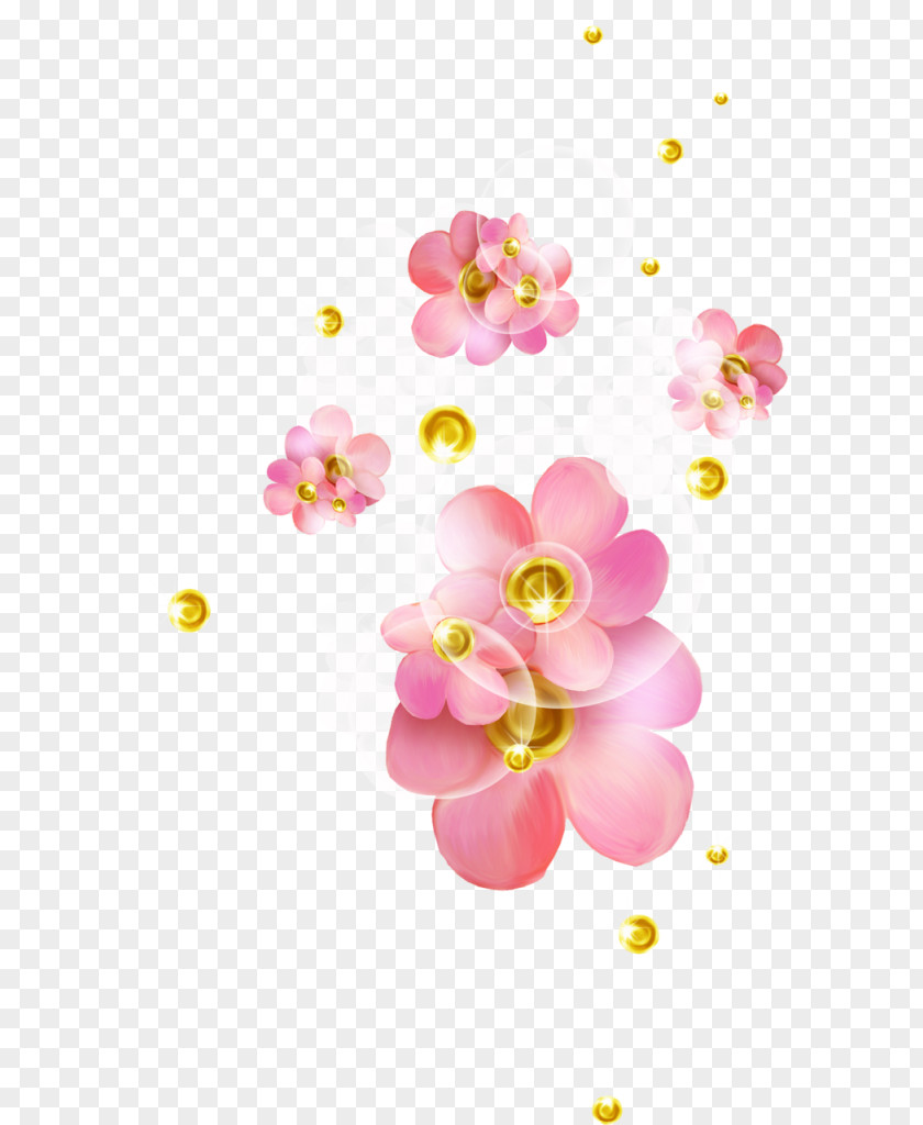 Flower Pink Desktop Wallpaper Color PNG