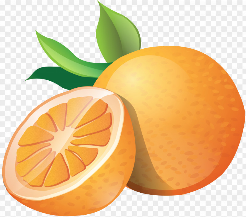 Orange Clip Art PNG