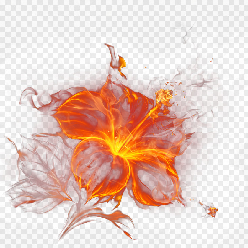 Flame Light Fire Smoke PNG Smoke, flower effect element, orange flame hibiscus art clipart PNG