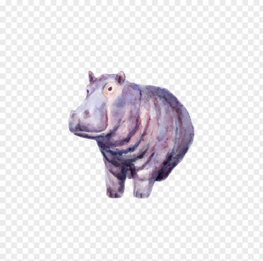 Hand-painted Hippo Hippopotamus Drawing PNG