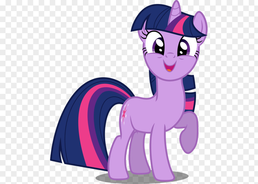 Human Twilight Sparkle Pony Rainbow Dash Rarity Clip Art Vector Graphics PNG