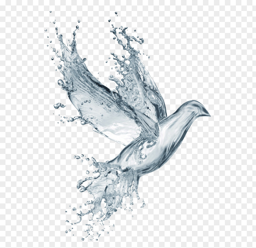 Blue Fresh Water Pigeon Effect Element PNG fresh water pigeon effect element clipart PNG