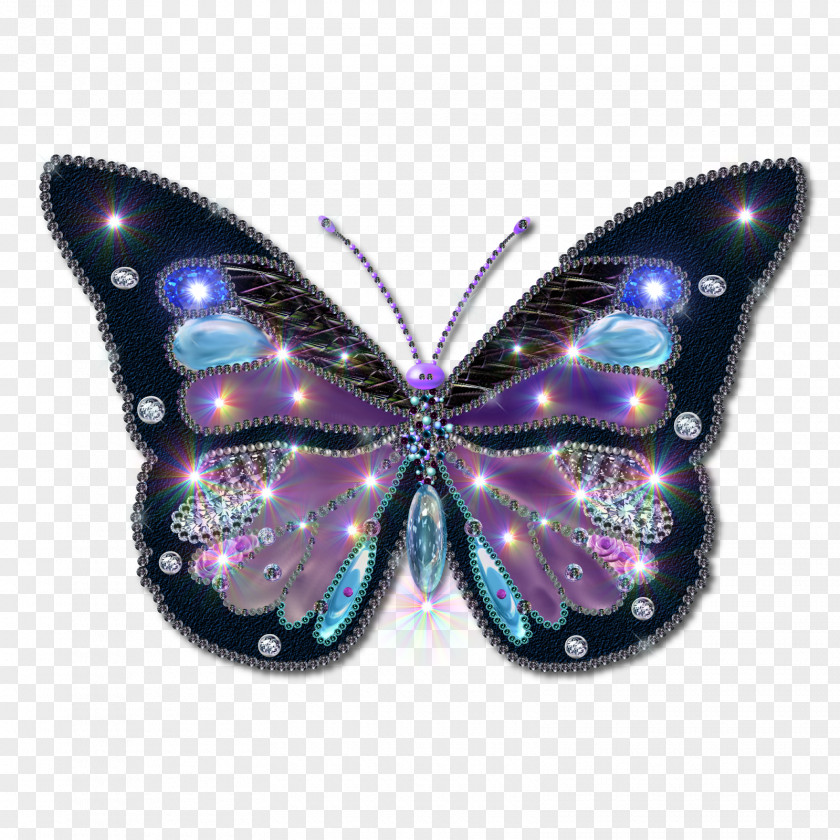 Butterfly Junonia Atlites Color Clip Art PNG