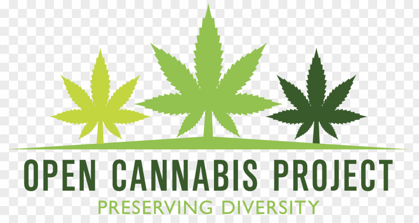 Cannabis United States Kush Cultivation Hemp PNG