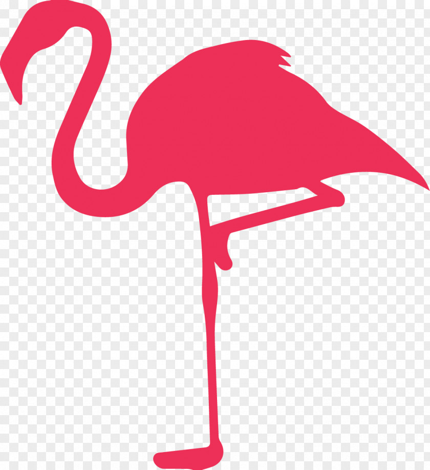 Flamingo PNG