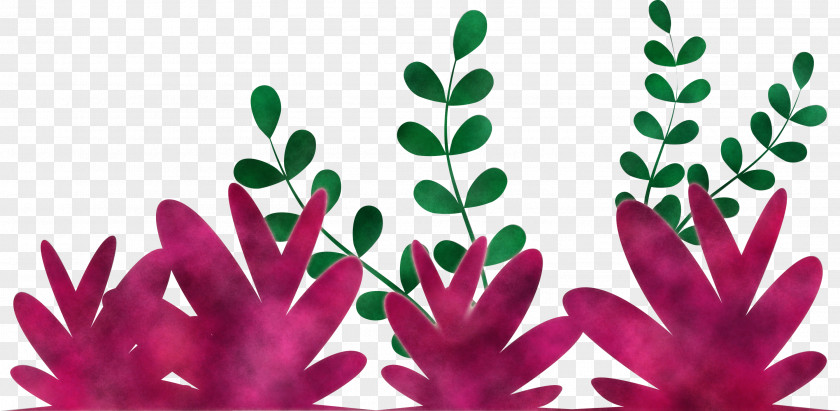 Grass Plant PNG