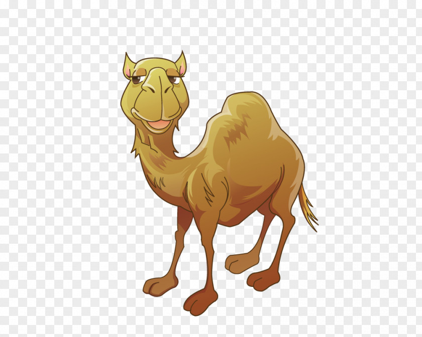 Sell ​​Meng Cute Camel Bactrian Clip Art PNG