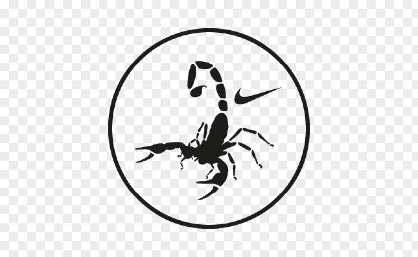 Vector Football Swoosh Nike Free Air Jordan PNG