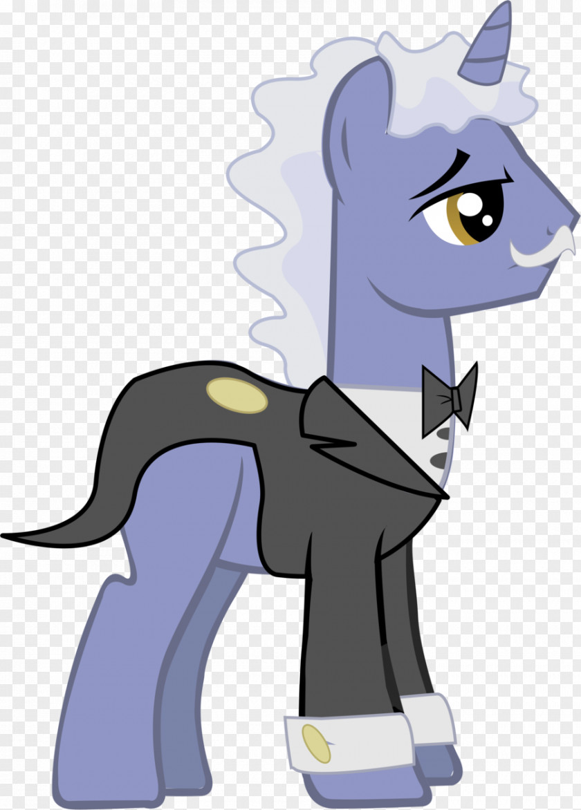 Waiter Cat Horse Mammal Pet Animal PNG