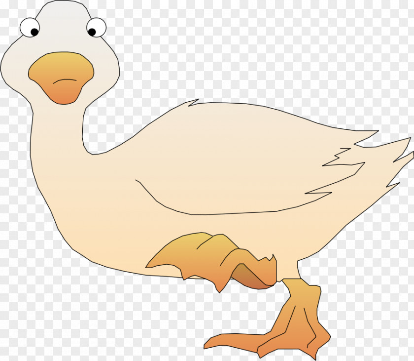 Bird Cartoon Duck Clip Art PNG