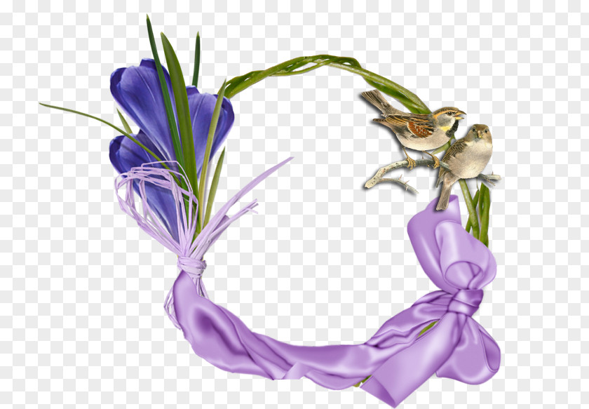 God Cut Flowers Purple Flowering Plant حياء PNG