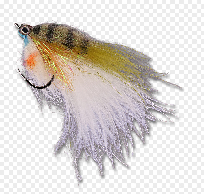 Thick Pens Tail Snout Beak Feather Fur PNG