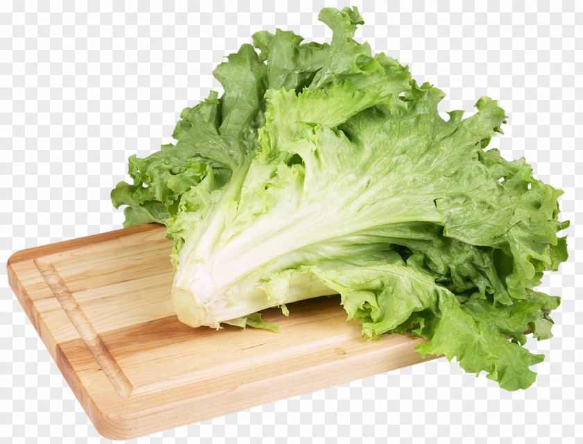 Green Salad Lettuce Clip Art Image PNG