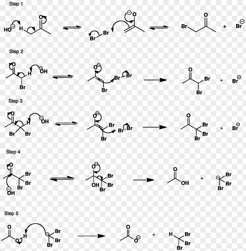 Ketone Halogenation Maleic Anhydride Chemical Reaction Aldol Condensation PNG