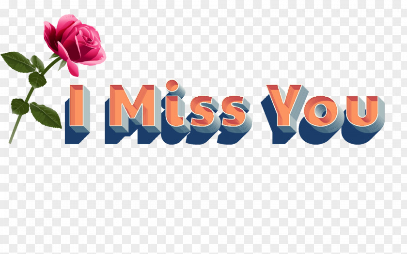 Missing Loved Ones Logo Desktop Wallpaper Font PNG