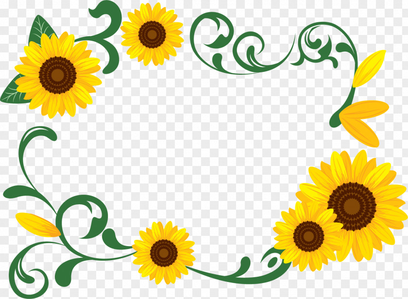 Sunflower Rectangular Frame Floral PNG