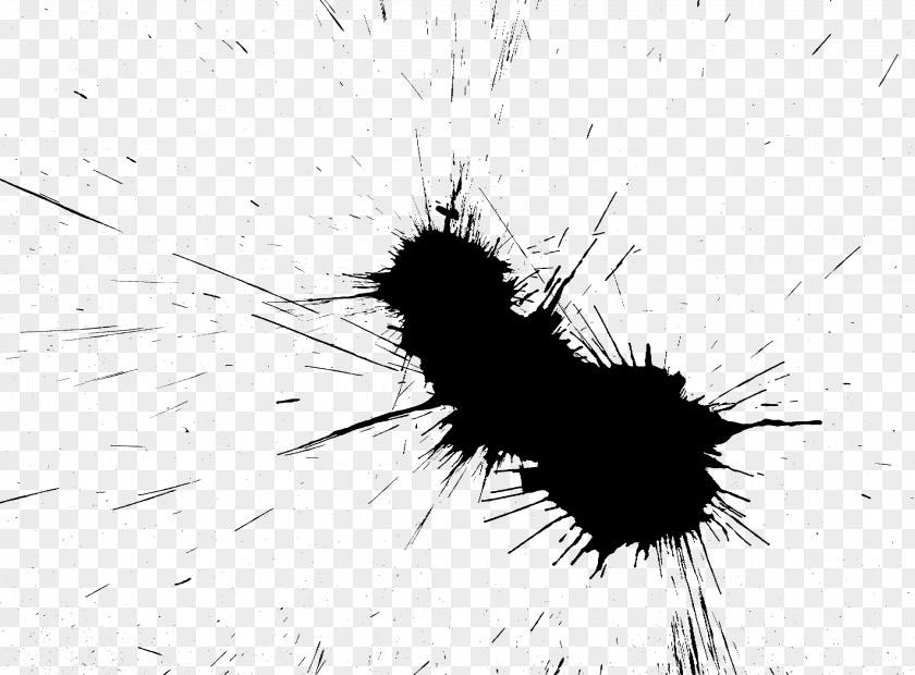 30 Insect Paper Black And White Drawing Watercolor Painting PNG
