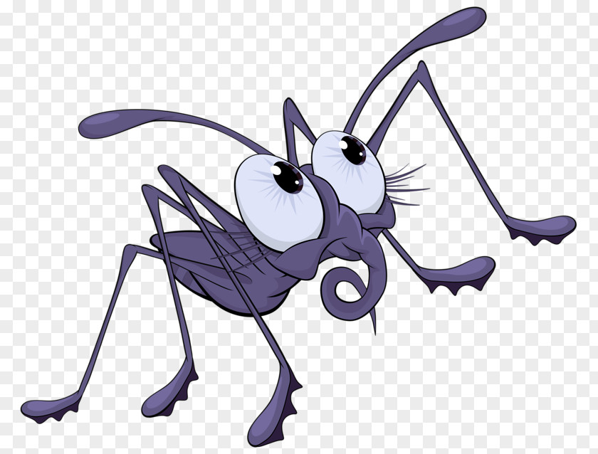 Bloodsucking Mosquitoes Spider Cartoon Illustration PNG