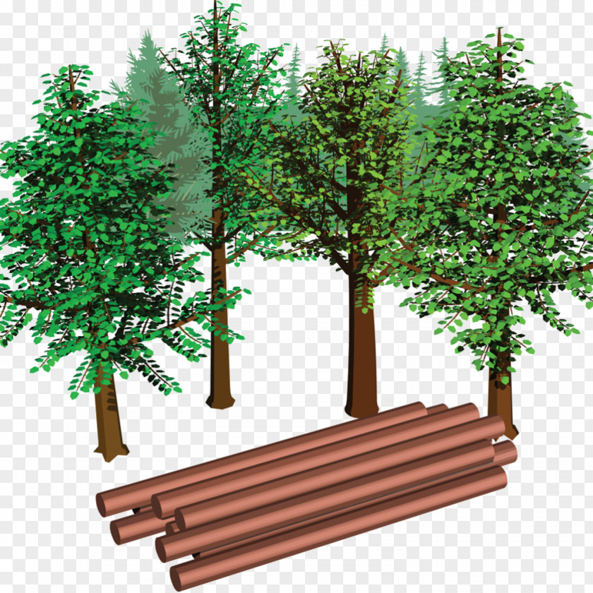 Energy Density Wood Fuel Straw PNG
