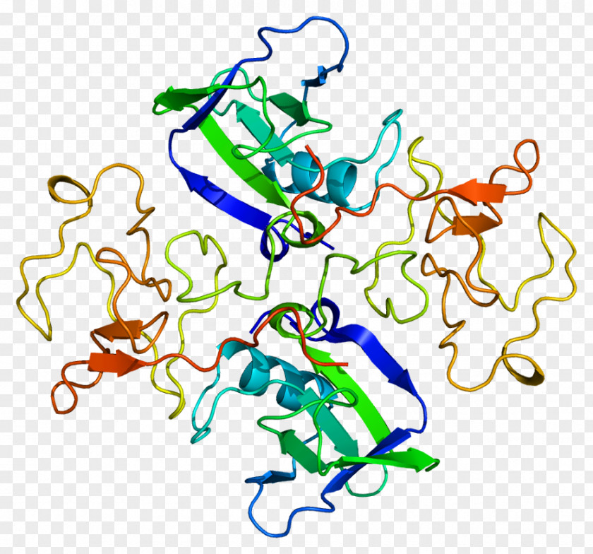 Positive Hepatocyte Growth Factor C-Met Receptor Tyrosine Kinase PNG