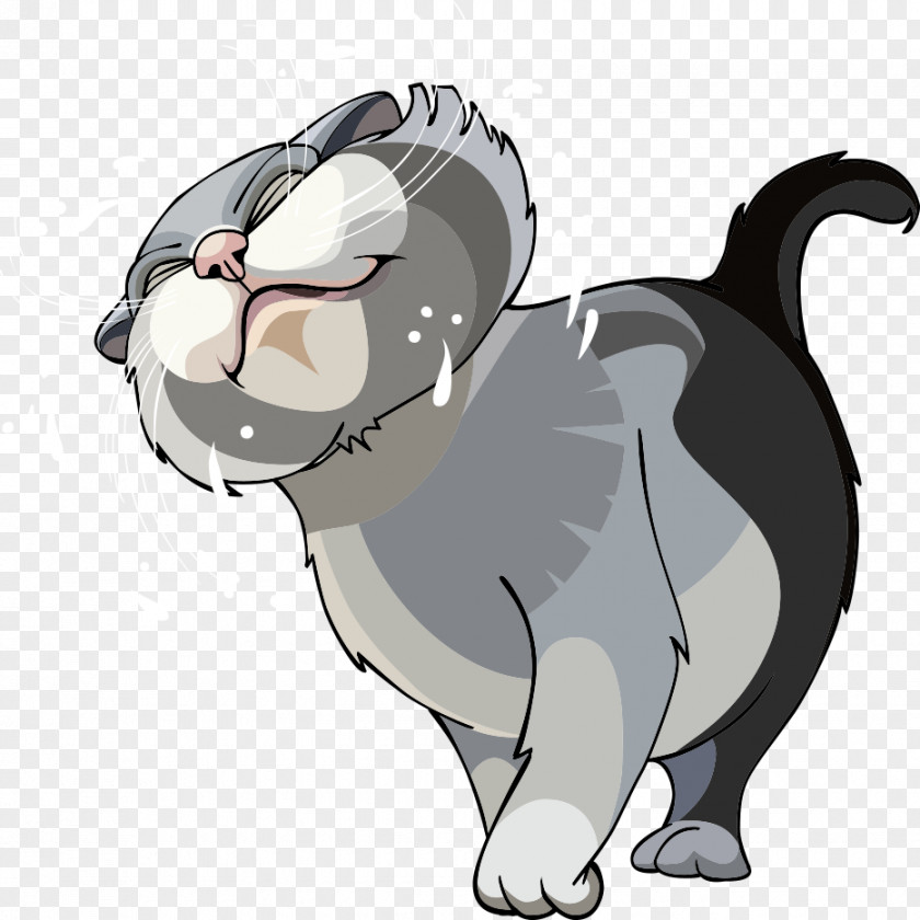 Vector Cat Whiskers Dog Cartoon Illustration PNG