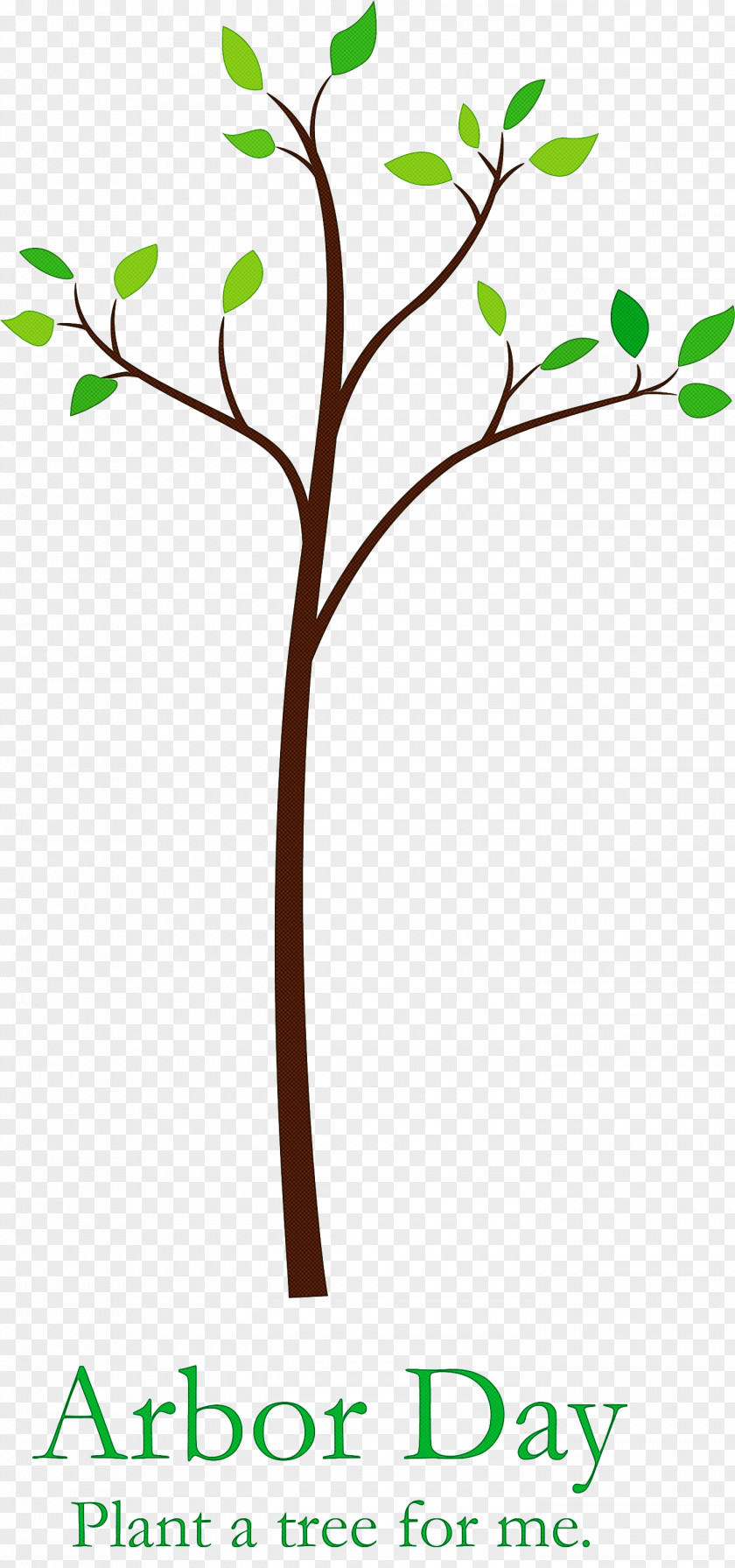 Arbor Day Tree Green PNG