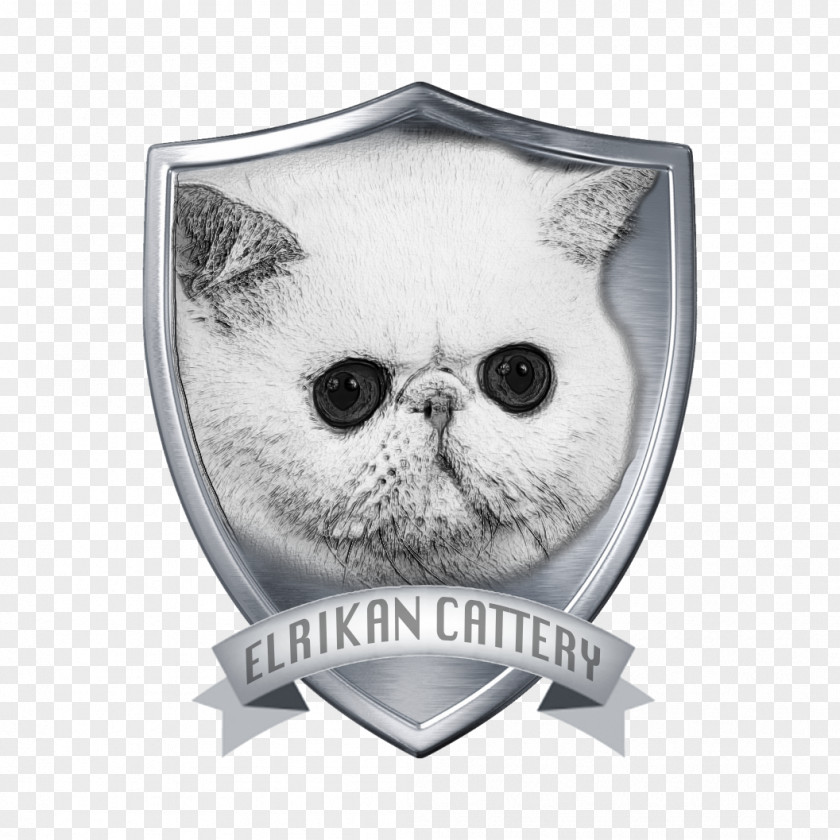 Cattery Whiskers Exotic Shorthair Cat Show Breed PNG