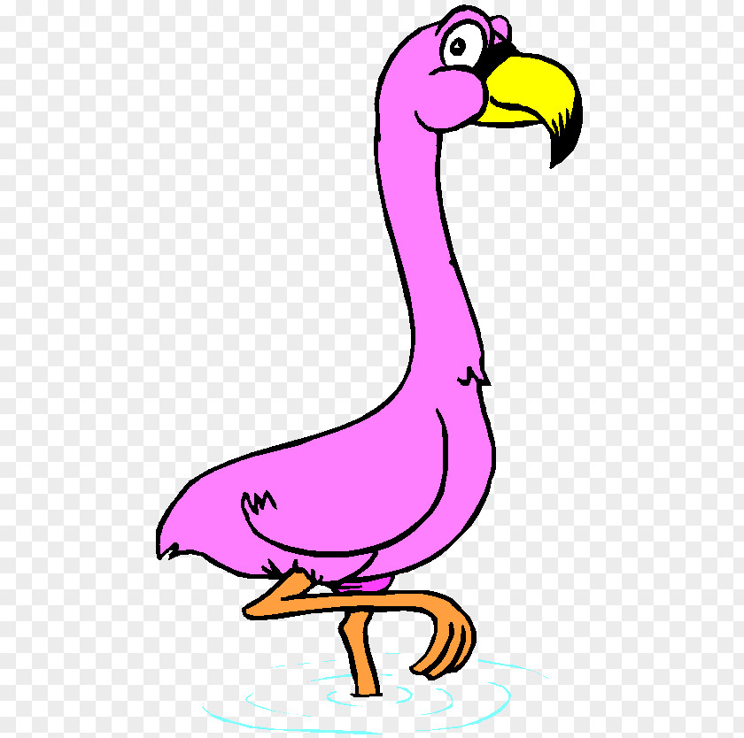 Flamingo Coloring Book Drawing Clip Art PNG