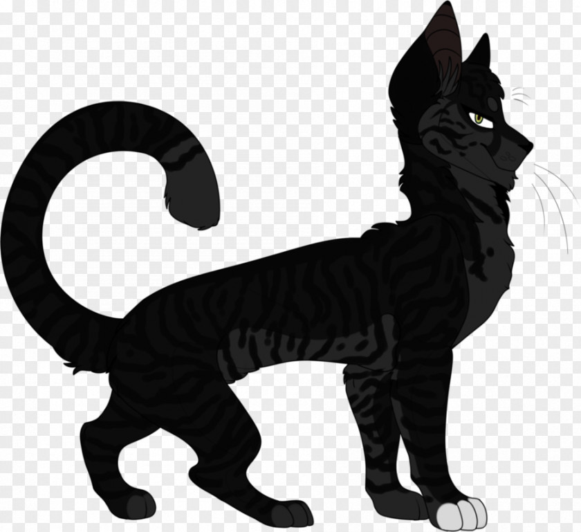 Heart Shadow Whiskers Domestic Short-haired Cat Warriors Tail PNG