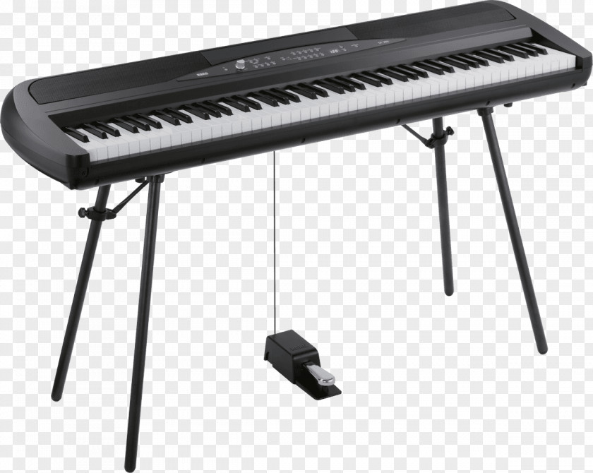 Piano Keyboard Digital Stage Korg PNG