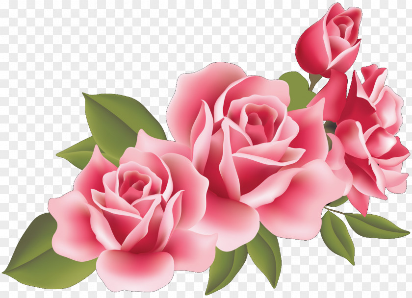 Roses Mother's Day Microsoft PowerPoint Presentation Gift PNG
