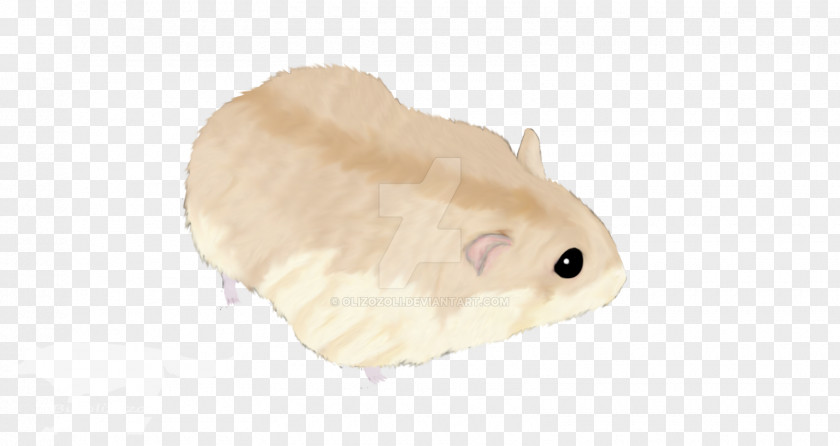 Toffees Rodent Hamster Mouse Rat Murids PNG
