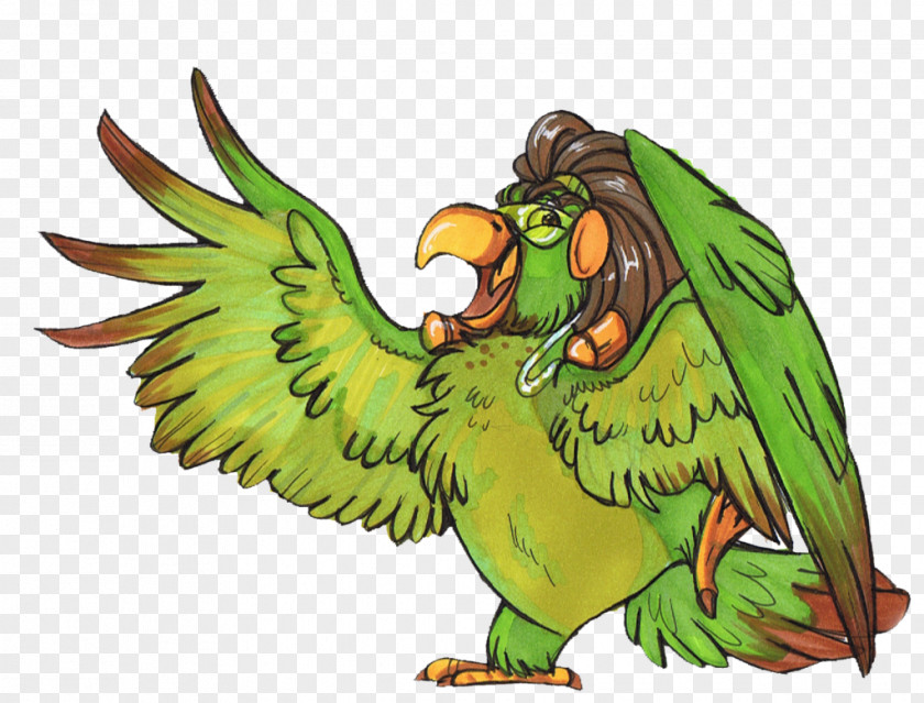 Bird Macaw Beak Character PNG