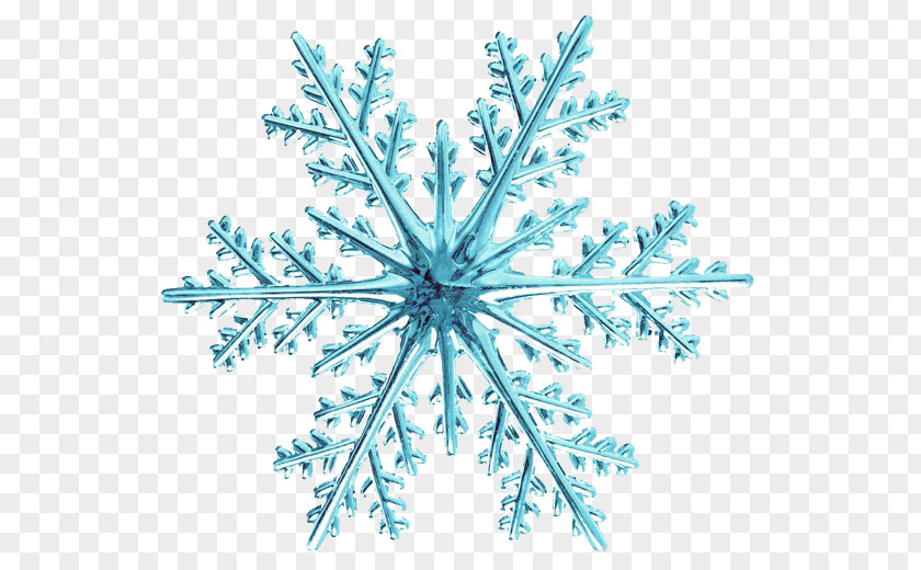 Blue Fresh Snow Effect Elements Snowflake Stock.xchng Clip Art PNG