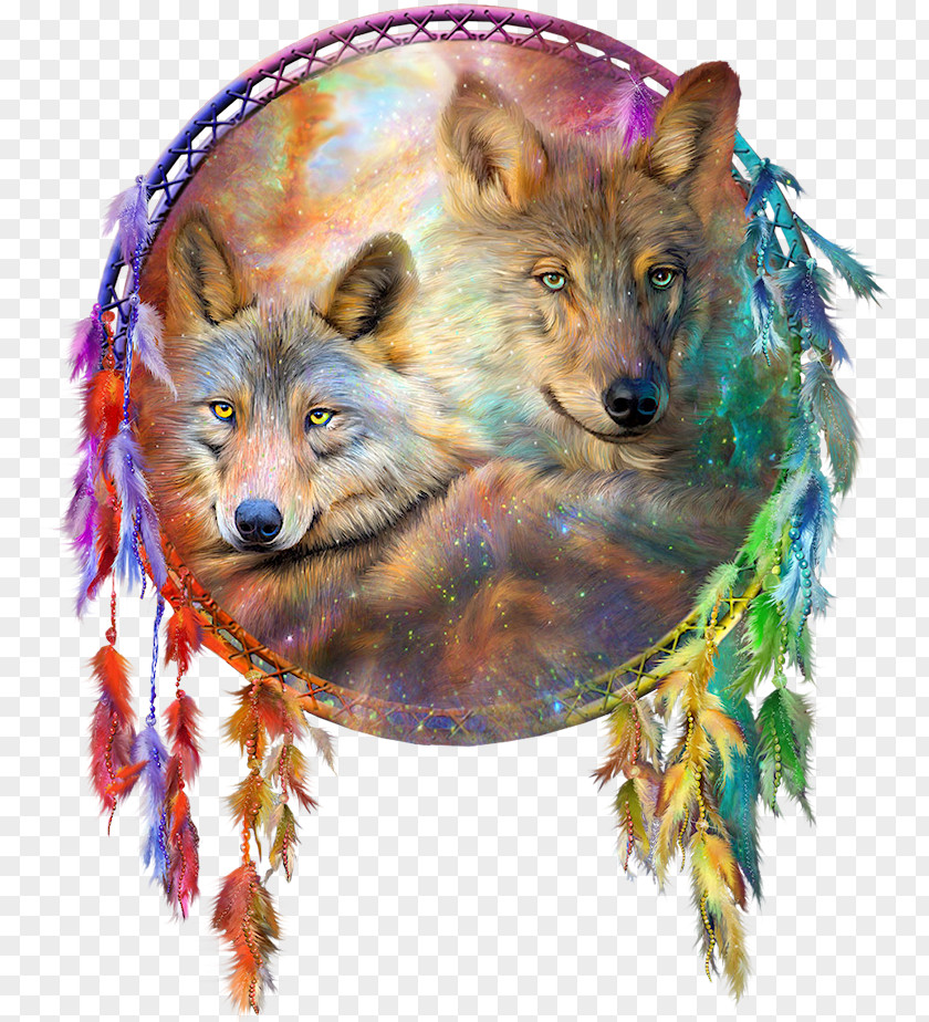 Dreamcatcher Gray Wolf Painting Art Craft PNG