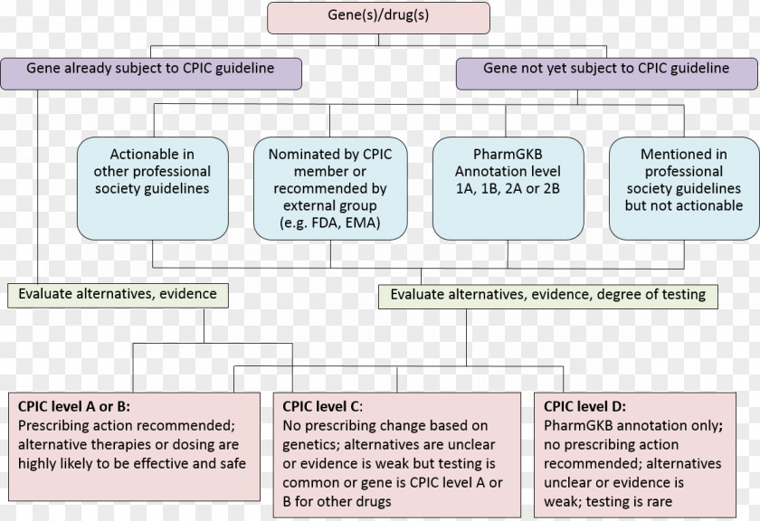 Flow Description Pharmaceutical Drug PharmGKB Prioritization Clopidogrel PNG