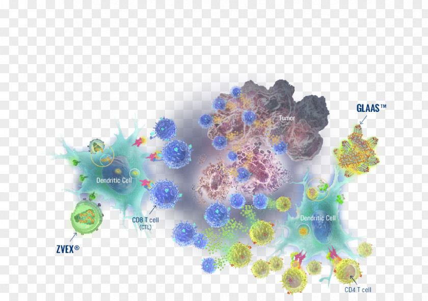 Immune Adaptive System Cancer Immunotherapy Cytotoxic T Cell Dendritic PNG