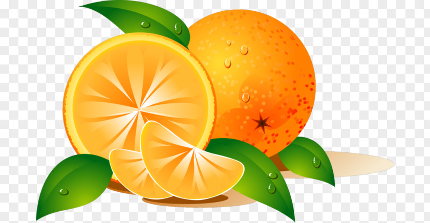 Orange Desktop Wallpaper Clip Art PNG