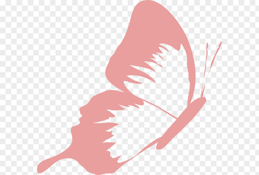 Pink Butterfly Fuchsia Clip Art PNG