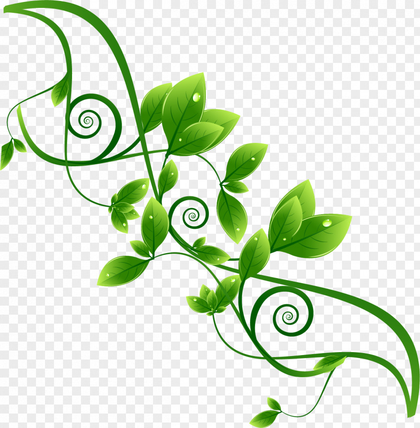 Beautifully Green Theme Label Vector Material Environmental Protection PNG