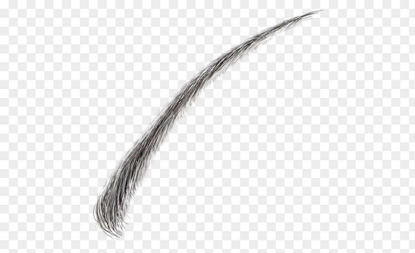 Eyelashes Feather Tail Eyebrow PNG