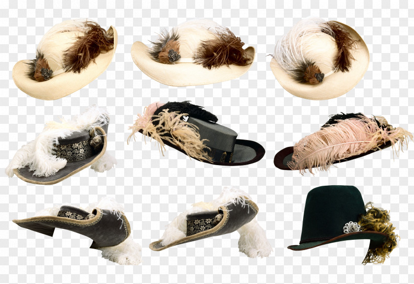 Hats Collection Hat Headgear Clip Art PNG