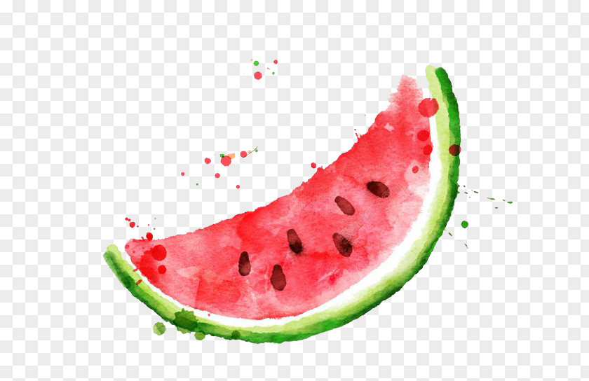 Watercolor Watermelon Frutti Di Bosco Fruit Painting PNG