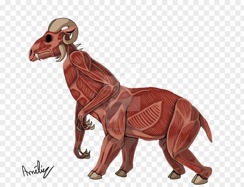 Anatomy Muscle Carnivora Terrestrial Animal Dinosaur Wildlife PNG