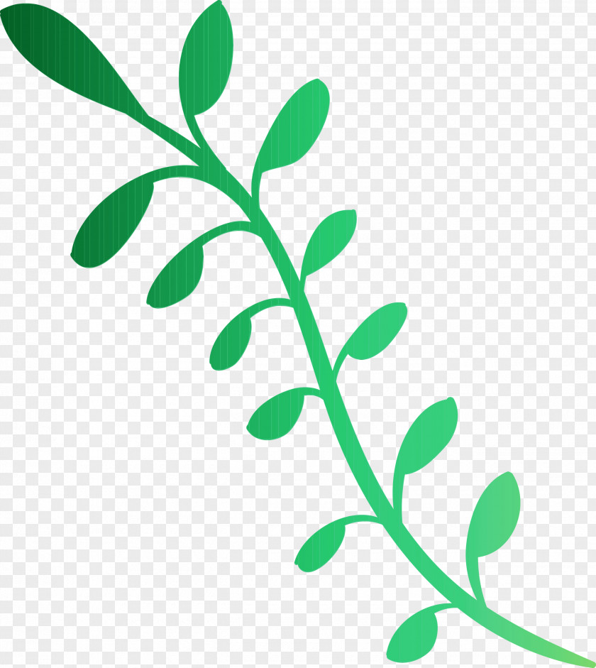 Leaf Plant Stem Twig Tree Line PNG