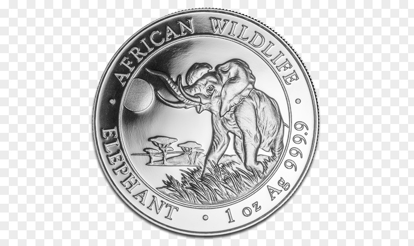 Silver Coin African Elephant Elephantidae Bullion PNG
