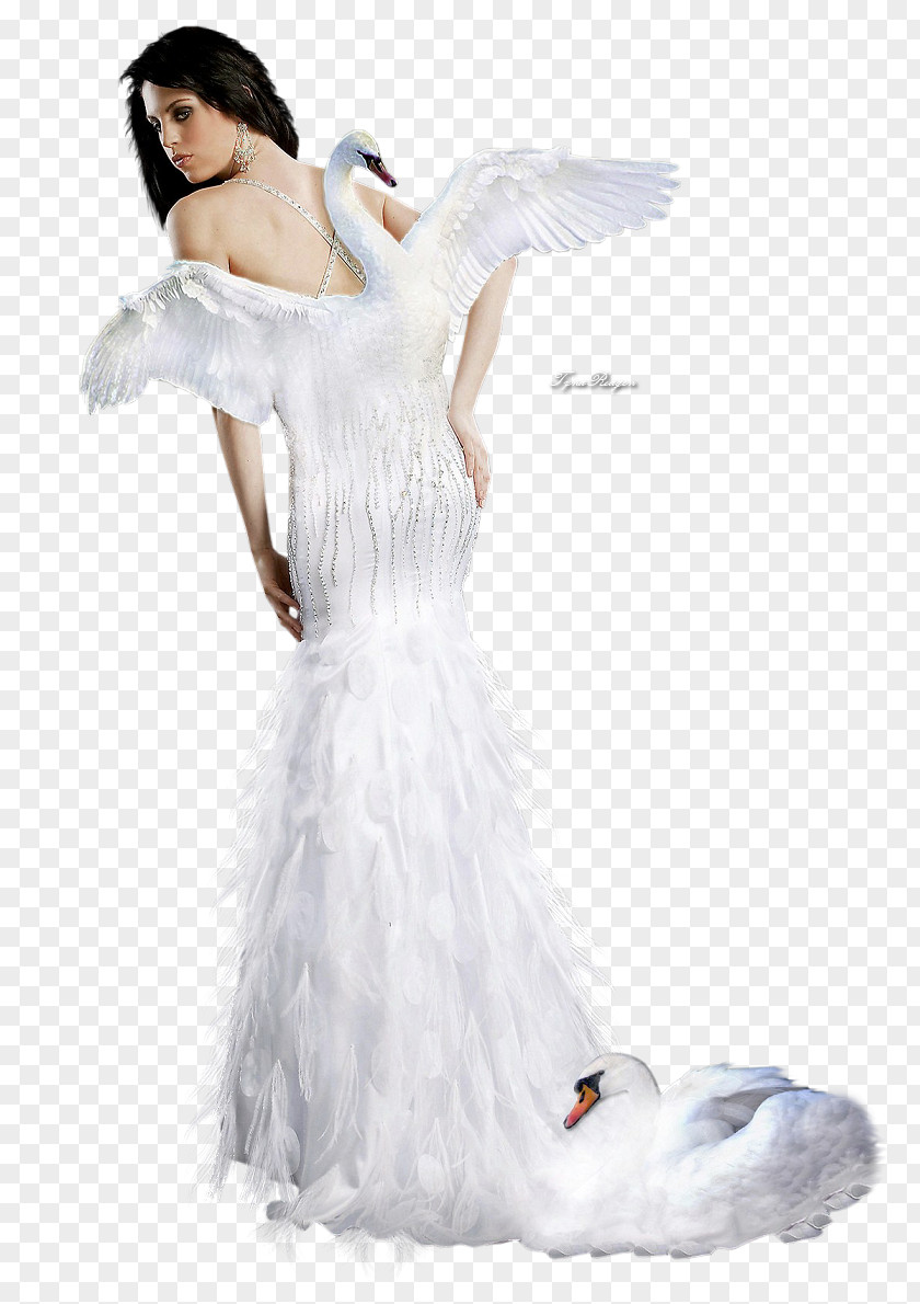 Dress Swan Cygnini Wedding Costume PNG