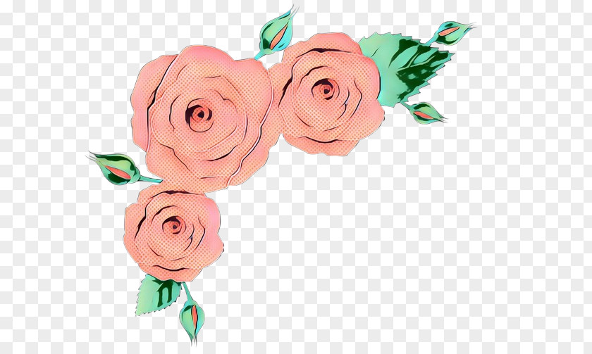 Floribunda Hybrid Tea Rose Pink Flowers Background PNG