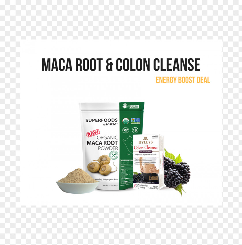 Maca Root Superfood Organic Food Natural Foods Raw Foodism Moringa PNG